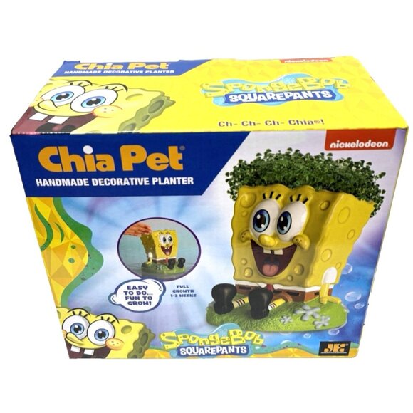 Chia Pet Sponge Bob - Handmade Funny Decorative Terracotta Planter Yellow NEW - Picture 8 of 12